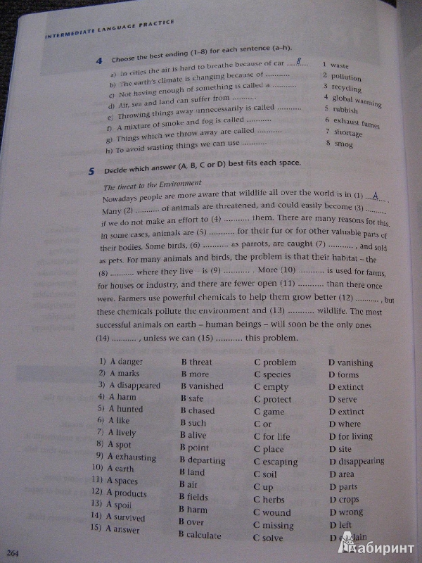 Иллюстрация 17 из 17 для Language Practice Intermediate (+СD) - Michael Vince | Лабиринт - книги. Источник: Ольга