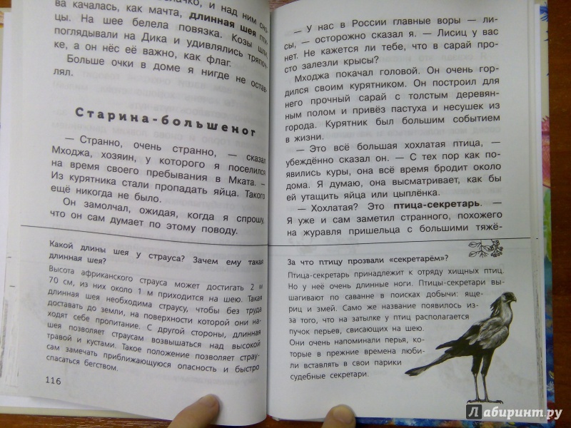 Иллюстрация 26 из 65 для Живые домики. С вопросами и ответами для почемучек - Сахарнов, Мосалов | Лабиринт - книги. Источник: Ульянова Мария