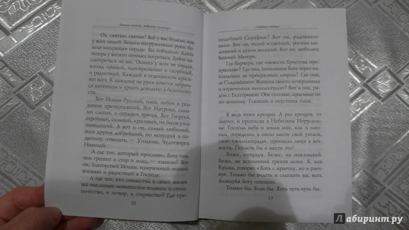 Иллюстрация 7 из 17 для Земные ангелы, небесные человецы - Андрей Ткачев | Лабиринт - книги. Источник: Кондрашева  Анна