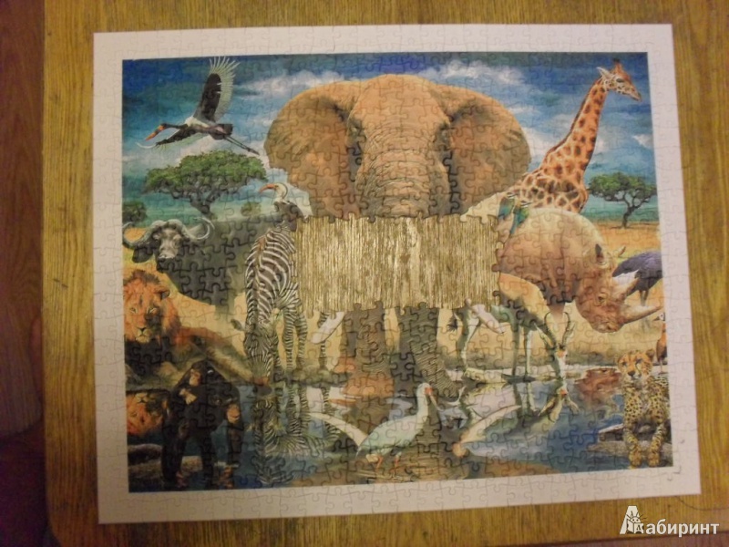 Иллюстрация 8 из 11 для Step Puzzle-500. "Мир животных" (98011) | Лабиринт - игрушки. Источник: Ишимбаев  Владимир