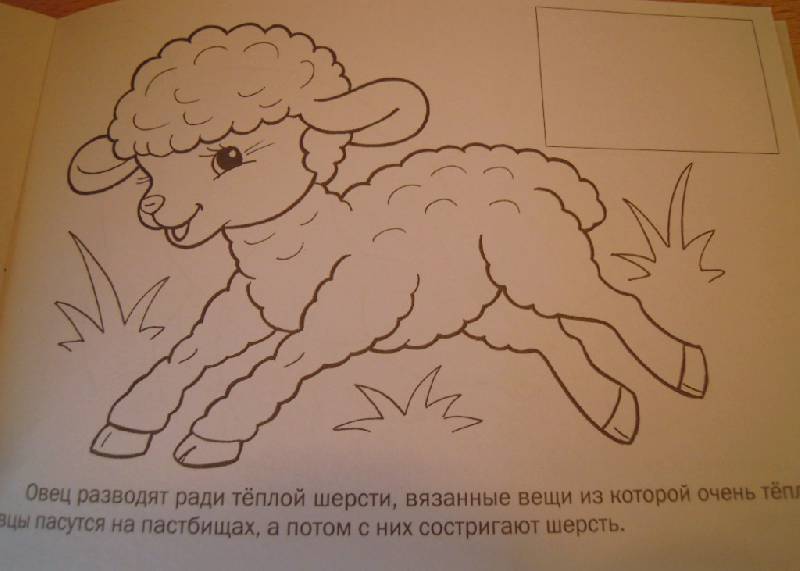 Иллюстрация 6 из 27 для Раскраска с наклейками Домашние животные | Лабиринт - книги. Источник: Iwolga