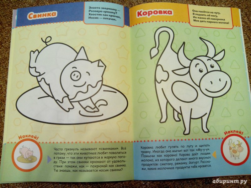 Иллюстрация 7 из 8 для Домашние животные | Лабиринт - книги. Источник: Громова  Людмила