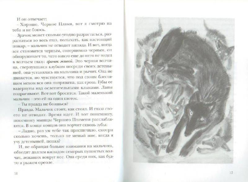 Иллюстрация 29 из 29 для Глаз волка - Даниэль Пеннак | Лабиринт - книги. Источник: Осьминожка