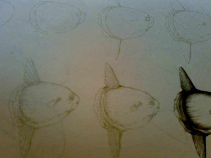Иллюстрация 32 из 33 для Рисуем 50 акул, китов и других морских животных - Эймис, Бадд | Лабиринт - книги. Источник: Юлия7
