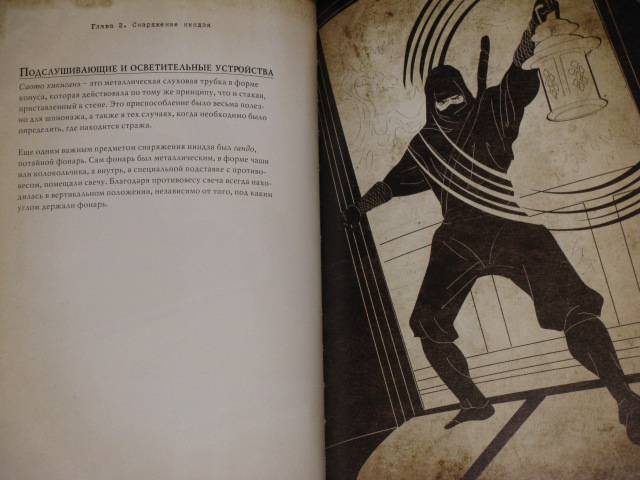 Иллюстрация 49 из 54 для Ниндзя. Воин тени - Джоэль Леви | Лабиринт - книги. Источник: Nemertona