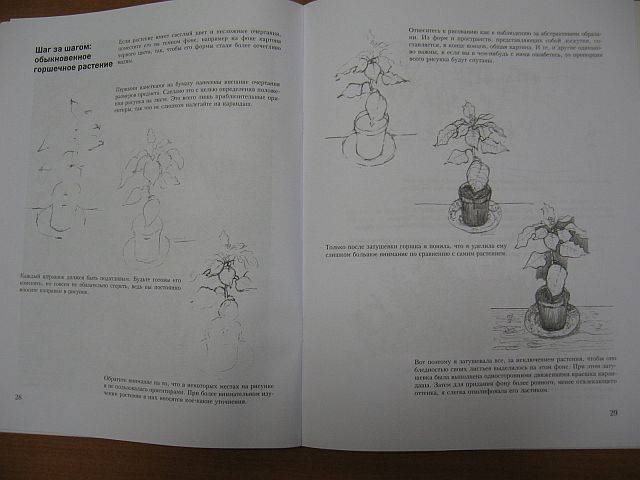 Иллюстрация 4 из 4 для Учитесь рисовать цветы и растения - Мэри Сеймур | Лабиринт - книги. Источник: rizik