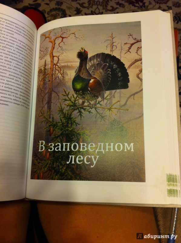 Иллюстрация 48 из 48 для Моя жизнь в лесу и дома - Валентин Пажетнов | Лабиринт - книги. Источник: Schani