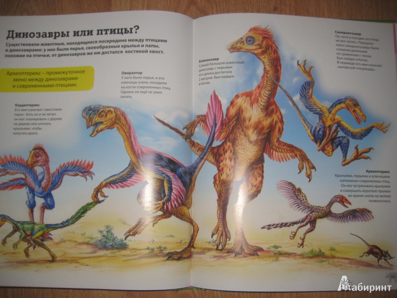 Иллюстрация 10 из 13 для Динозавры. Иллюстрированная энциклопедия - Франциско Арредондо | Лабиринт - книги. Источник: So_va