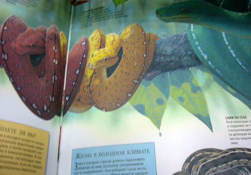 Иллюстрация 6 из 15 для Большая детская энциклопедия животных | Лабиринт - книги. Источник: Nika