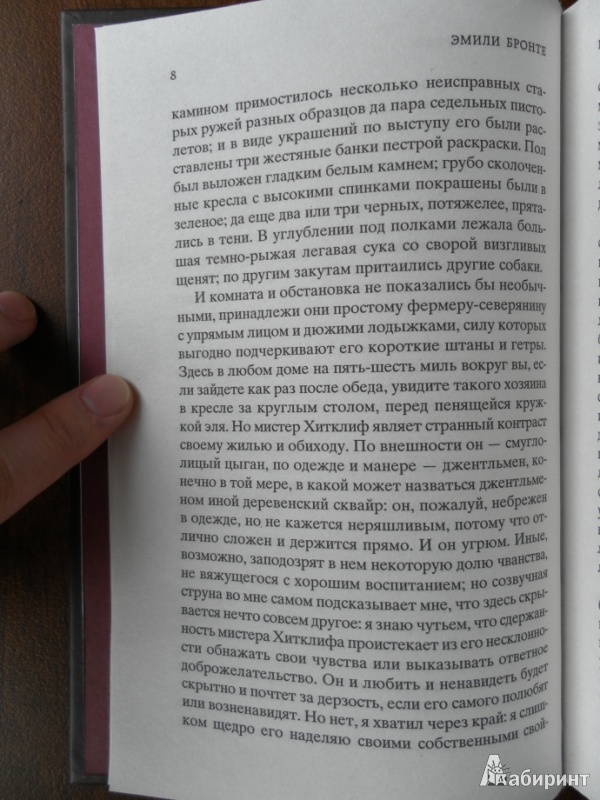 Иллюстрация 13 из 47 для Грозовой перевал - Эмили Бронте | Лабиринт - книги. Источник: Катрин7