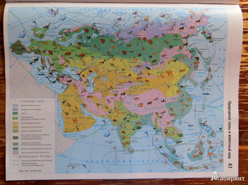 Карта евразии зоны. Природные зоны Евразии атлас 7 класс. Природные зоны география 7 класс атлас карта.