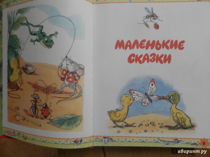 Иллюстрация 64 из 67 для Самые любимые сказки - Владимир Сутеев | Лабиринт - книги. Источник: Краева Арина