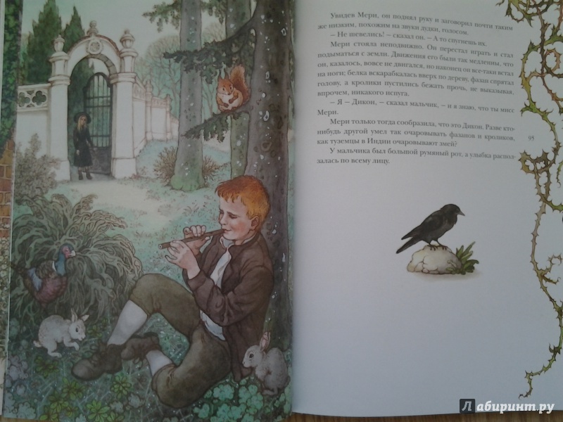 Иллюстрация 25 из 64 для Таинственный сад - Фрэнсис Бёрнетт | Лабиринт - книги. Источник: Olga