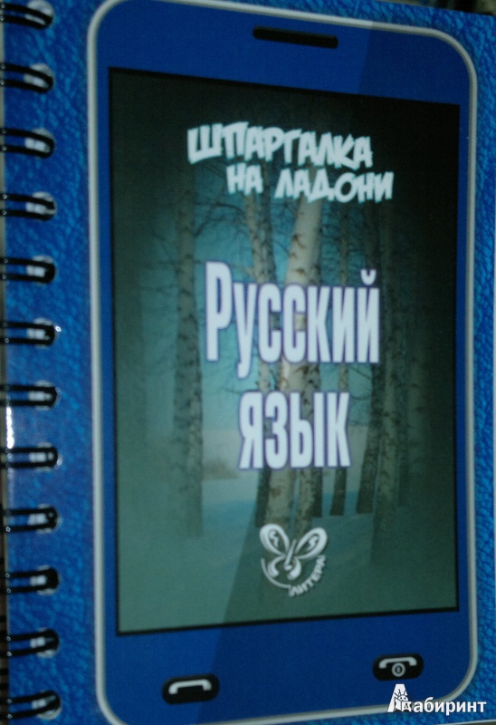 Иллюстрация 2 из 7 для Русский язык - Ирина Стронская | Лабиринт - книги. Источник: Леонид Сергеев