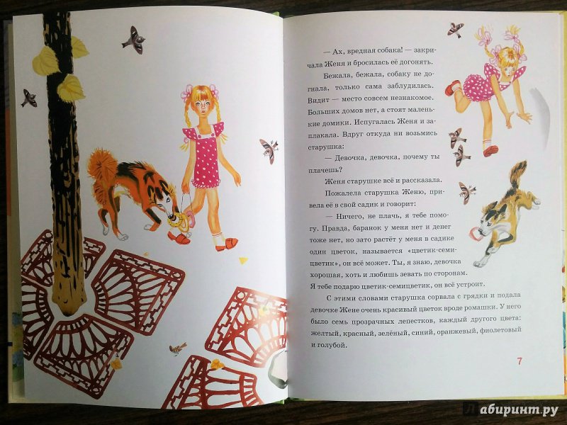 Иллюстрация 35 из 43 для Цветик-семицветик - Валентин Катаев | Лабиринт - книги. Источник: Natalie Leigh