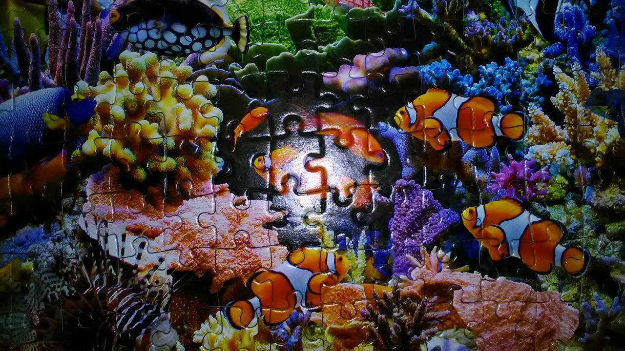 Иллюстрация 16 из 18 для Puzzle-260 MIDI "Цвета океана" (B-27279) | Лабиринт - игрушки. Источник: Selenita