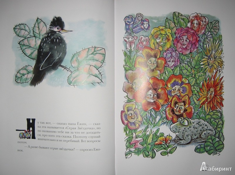 Иллюстрация 29 из 67 для Отшельник и Роза - Борис Заходер | Лабиринт - книги. Источник: Трухина Ирина