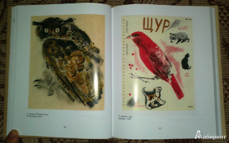 Иллюстрация 61 из 65 для Звери и птицы Евгения Чарушина - Эраст Кузнецов | Лабиринт - книги. Источник: Буквоед