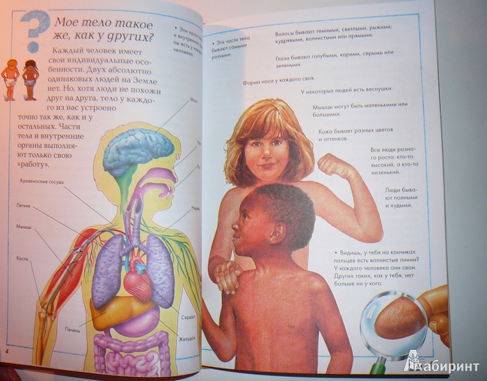Книги в тело ребенка. Книга строение человека для детей. Тело человека книга. Тело человека энциклопедия для детей. Детская книжка анатомия человека.