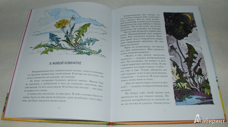 Иллюстрация 10 из 33 для Жёлтый, белый, лиловый - Нина Павлова | Лабиринт - книги. Источник: Книжный кот