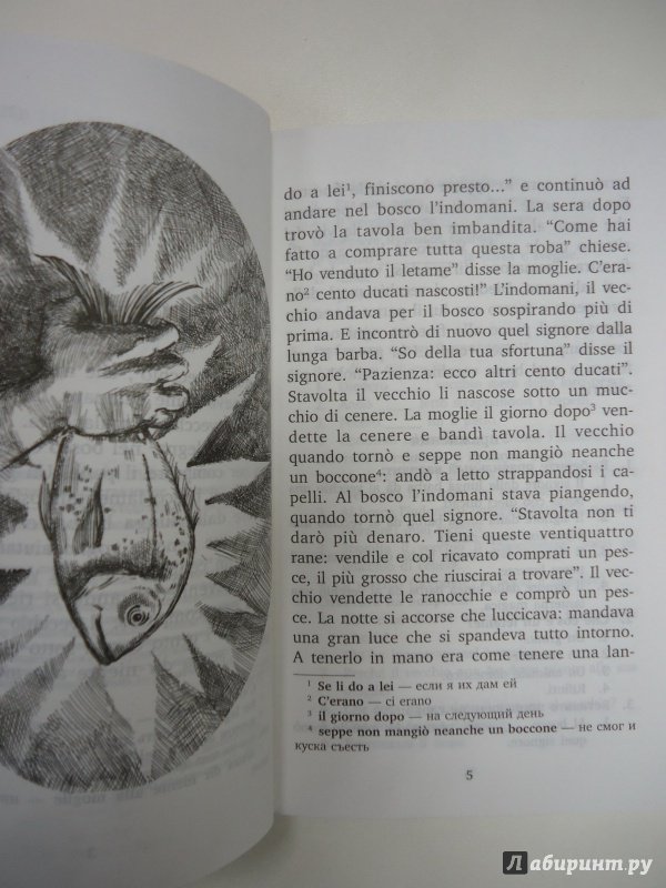 Иллюстрация 37 из 46 для Итальянские сказки | Лабиринт - книги. Источник: Затерянная