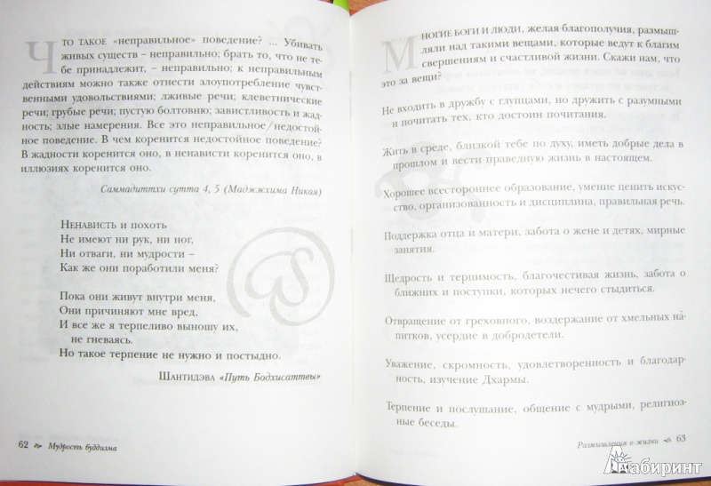 Иллюстрация 3 из 5 для Мудрость буддизма - Мел Томпсон | Лабиринт - книги. Источник: Хохлова  Анна Олеговна