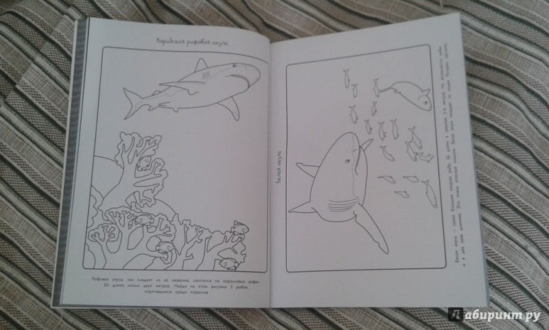 Иллюстрация 14 из 22 для Акулы - Эмма Сэл | Лабиринт - книги. Источник: Соколенко  Света
