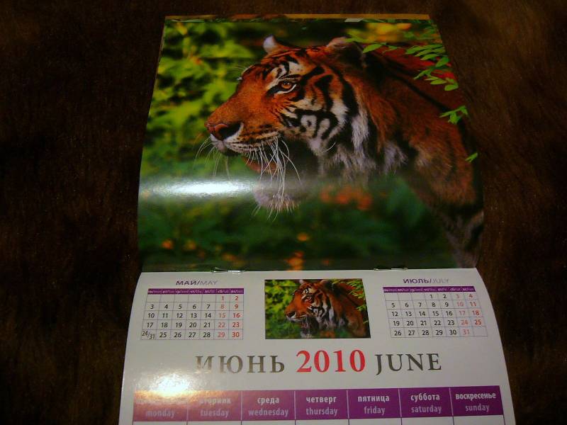 Иллюстрация 5 из 7 для Календарь 2010 "Год тигра" (30908) | Лабиринт - сувениры. Источник: Nika