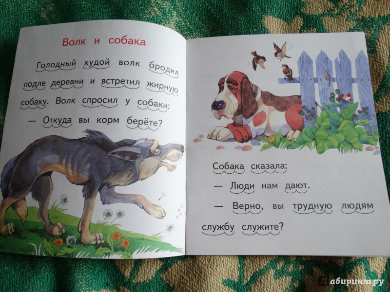 Иллюстрация 20 из 24 для Волк и собака - Лев Толстой | Лабиринт - книги. Источник: Пиккель  Василина
