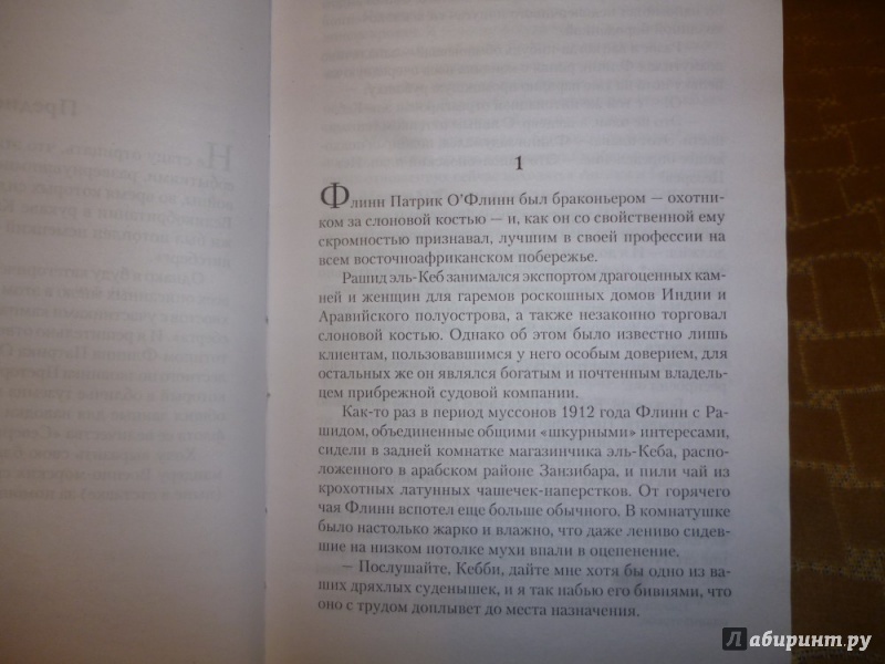 Иллюстрация 19 из 25 для Крик дьявола - Уилбур Смит | Лабиринт - книги. Источник: Бабкин  Михаил Юрьевич