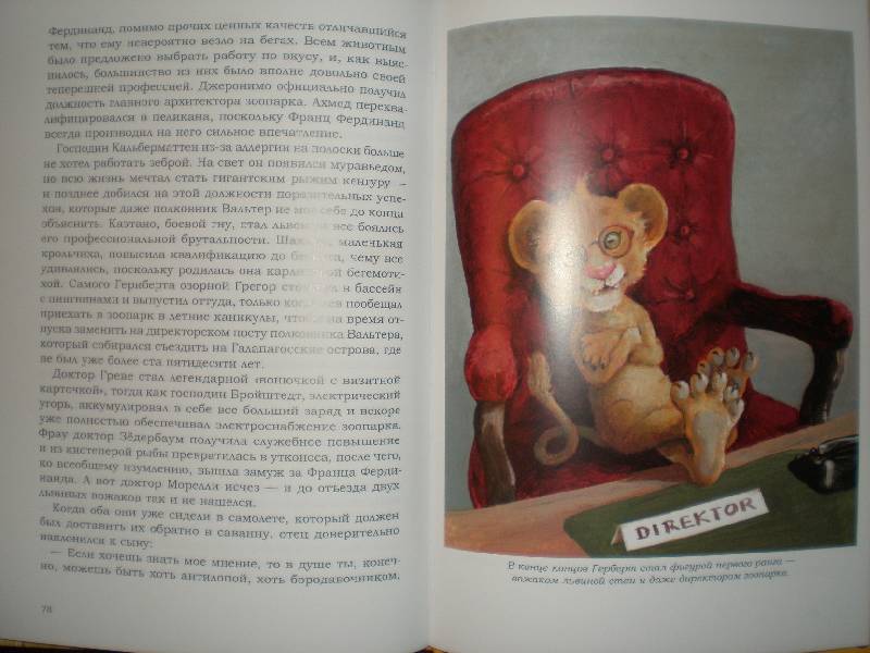 Иллюстрация 13 из 54 для Как стать настоящим львом - Ципперт, Хурцльмайер | Лабиринт - книги. Источник: Гостья