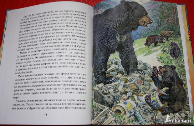 Иллюстрация 29 из 45 для Медвежонок Джонни - Эрнест Сетон-Томпсон | Лабиринт - книги. Источник: КНИЖНОЕ ДЕТСТВО