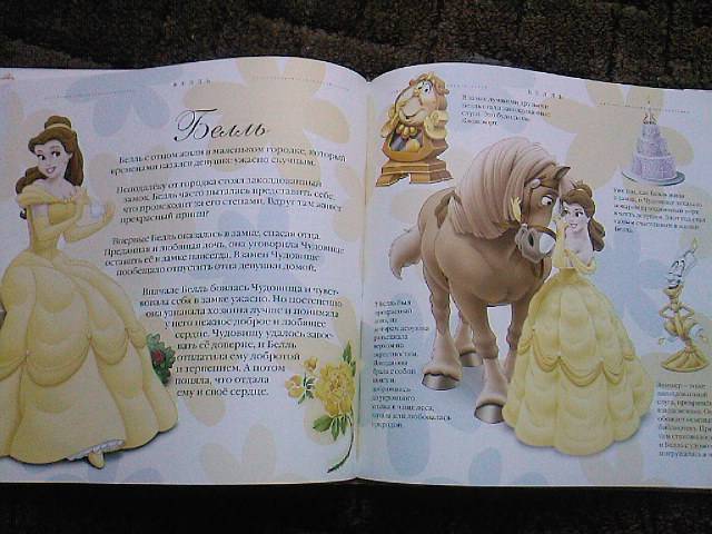 Иллюстрация 5 из 7 для Путеводитель по миру принцесс. Подарочная | Лабиринт - книги. Источник: Турист