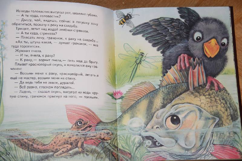 Иллюстрация 26 из 39 для Сказки из леса | Лабиринт - книги. Источник: Vilvarin  Laurea