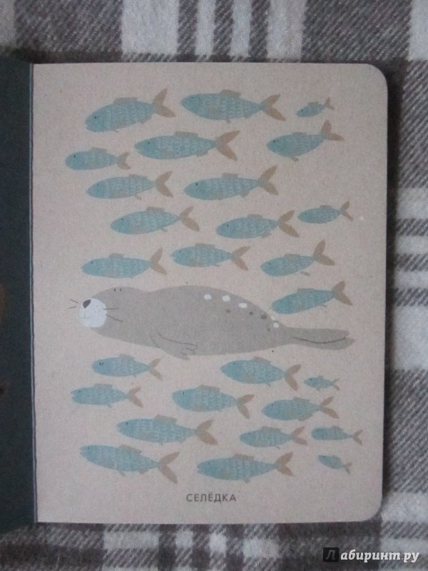 Иллюстрация 7 из 45 для Моё маленькое море - Катрин Виле | Лабиринт - книги. Источник: Александрова  Анна Леонидовна