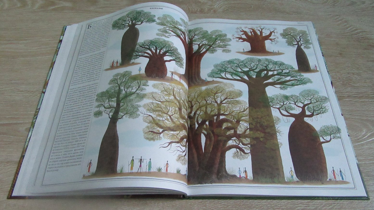 Иллюстрация 32 из 70 для Деревья - Соха, Грайковский | Лабиринт - книги. Источник: дюдюка барбидокская