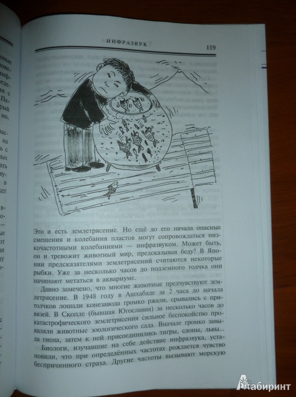 Иллюстрация 23 из 24 для Тайны звука - Анатолий Томилин | Лабиринт - книги. Источник: дева