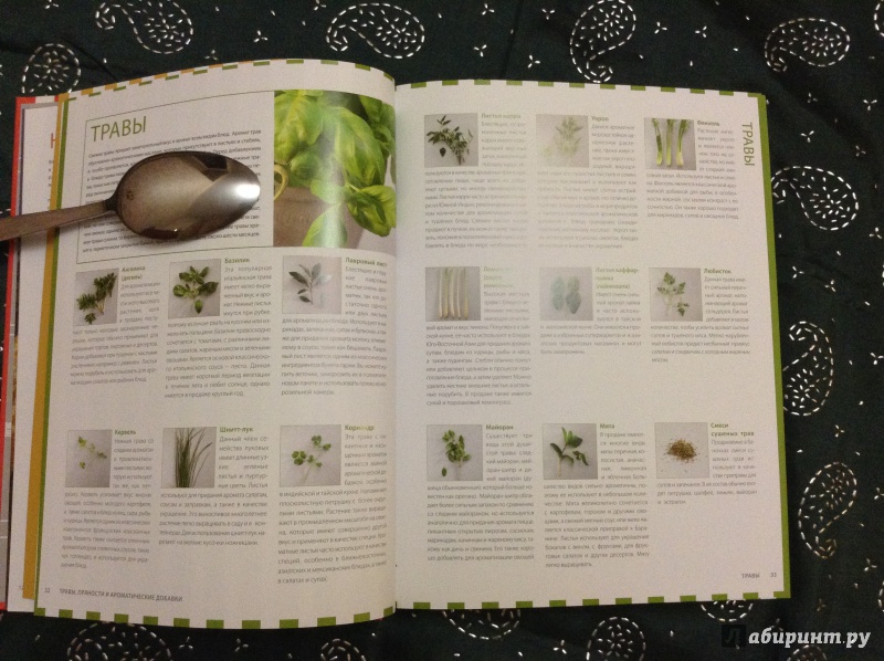 Иллюстрация 21 из 29 для Классическая кулинарная книга | Лабиринт - книги. Источник: Радость  Встречи