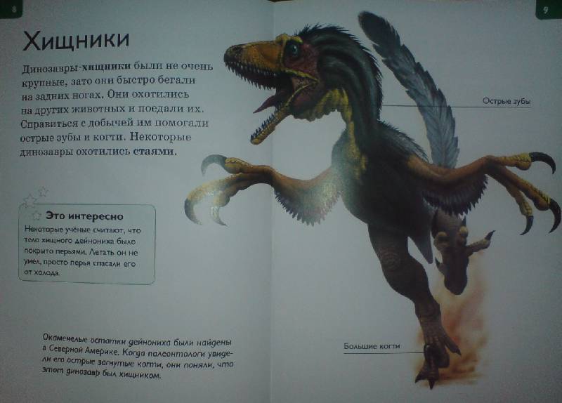Иллюстрация 12 из 31 для Динозавры - Роберт Коуп | Лабиринт - книги. Источник: Настёна