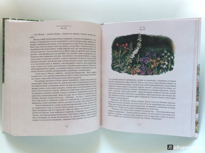 Иллюстрация 17 из 56 для Таинственный сад - Фрэнсис Бёрнетт | Лабиринт - книги. Источник: Сан Санна
