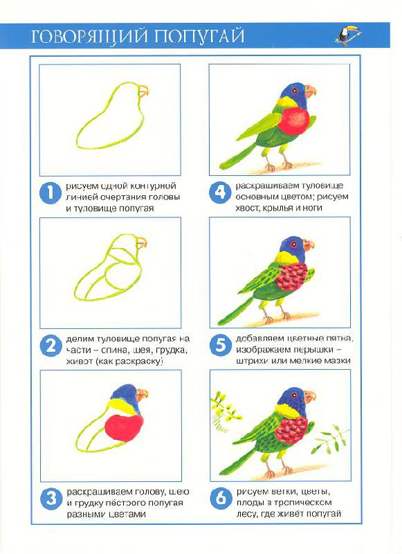 Иллюстрация 12 из 21 для Заморские птицы (рисование красками) - Ирина Лыкова | Лабиринт - книги. Источник: Яровая Ирина