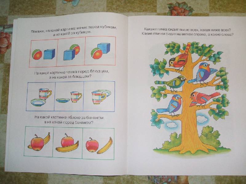 Иллюстрация 9 из 9 для Вправо - влево, вверх - вниз. Ориентируемся в пространстве. Для детей 3-4 лет | Лабиринт - книги. Источник: ashatan