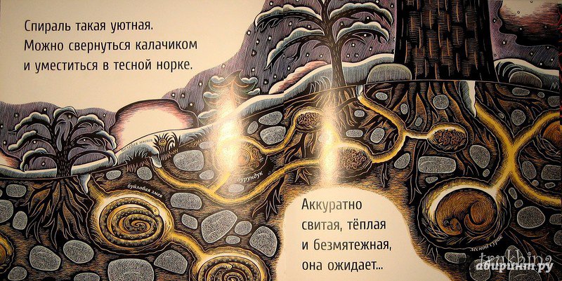 Иллюстрация 46 из 65 для Живые спирали - Джойс Сидман | Лабиринт - книги. Источник: Трухина Ирина