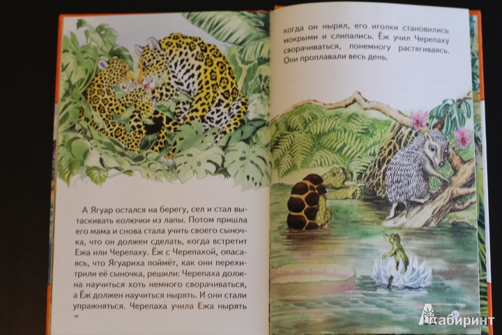 Иллюстрация 22 из 35 для Для самых маленьких. Сказки Киплинга - Редьярд Киплинг | Лабиринт - книги. Источник: LittleDragon