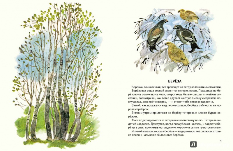 Иллюстрация 6 из 18 для Первое солнышко - Геннадий Снегирев | Лабиринт - книги. Источник: mif