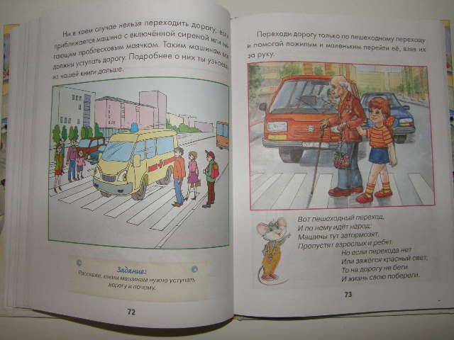 Иллюстрация 13 из 25 для Правила дорожного движения для воспитанных детей - Галина Шалаева | Лабиринт - книги. Источник: Занудушка