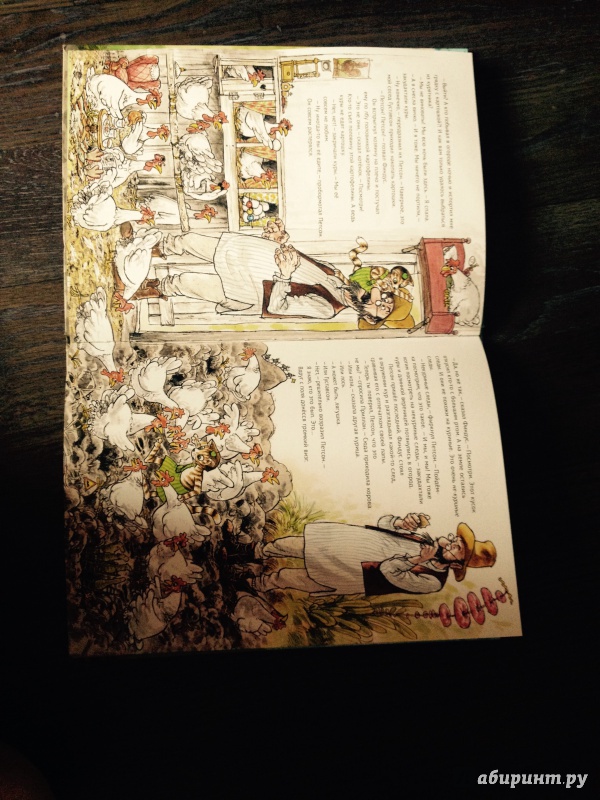 Иллюстрация 44 из 64 для Переполох в огороде - Свен Нурдквист | Лабиринт - книги. Источник: Харченко  Наталья