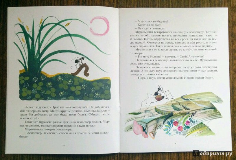 Иллюстрация 52 из 59 для Как муравьишка домой спешил - Виталий Бианки | Лабиринт - книги. Источник: Natalie Leigh