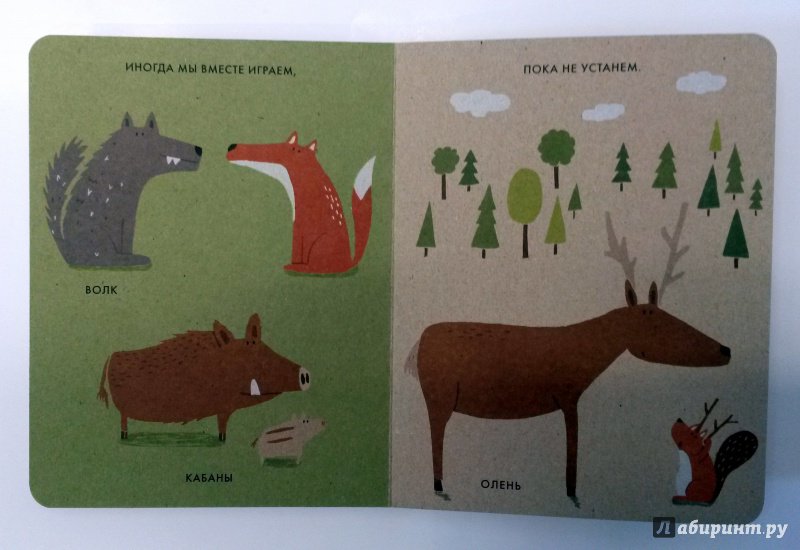 Иллюстрация 8 из 38 для Мой маленький лес - Катрин Виле | Лабиринт - книги. Источник: Elodie