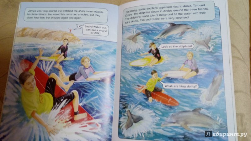 Иллюстрация 5 из 5 для Sharks & Dolphins. Dolphins Rescue. Level 6 - Donna Shaw | Лабиринт - книги. Источник: Грошева  Надежда